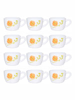 Opal Glass 12pcs Tea/Coffee Cup Set