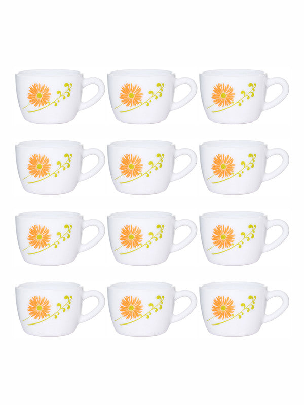 Opal Glass 12pcs Tea/Coffee Cup Set