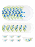 Opal Glass 19pcs Dinner Set