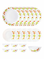 Opal Glass 19pcs Dinner Set