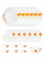 Opal Glass 19pcs Dinner Set