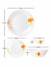 Opal Glass 19pcs Dinner Set