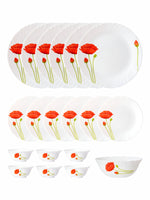 Opal Glass 19pcs Dinner Set