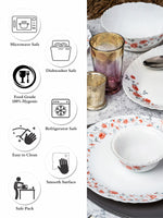 Opal Glass 27pcs Dinner Set