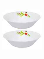 Opal Glass 2pcs Multipurpose Bowl Set