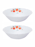 Opal Glass 2pcs Multipurpose Bowl Set