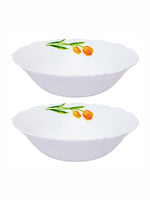 Opal Glass 2pcs Multipurpose Bowl Set