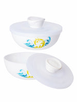 Opal Glass 2pcs Multipurpose Bowl Set