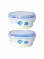 Opal Glass 2pcs Storage Container Set with Lid