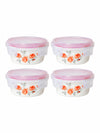 Opal Glass 4pcs Storage Container Set with Lid