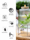 Clear Glass Amstel Dispenser with Wooden Lid & Metal Stand