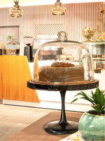 Goodhomes Glass Dome And Wooden Stand With Stem