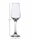 ROXX Glass Meridian Champagne Flute (set of 6pcs)