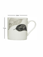 Sonaki Bone China Tea/Coffee Mug (set of 6pcs)